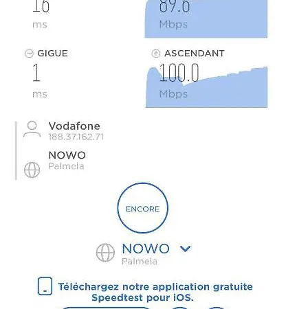 Quinta Das Palmeiras *